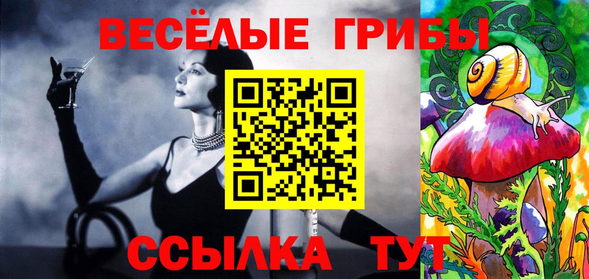 Кингисепп  Галлюциногенные грибы ЛСД  Галлюциногенные грибы Psilocybe  наркота  Вход с VPN 