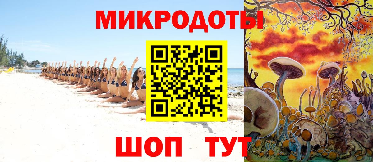 Галлюциногенные грибы прущие грибы Кингисепп
